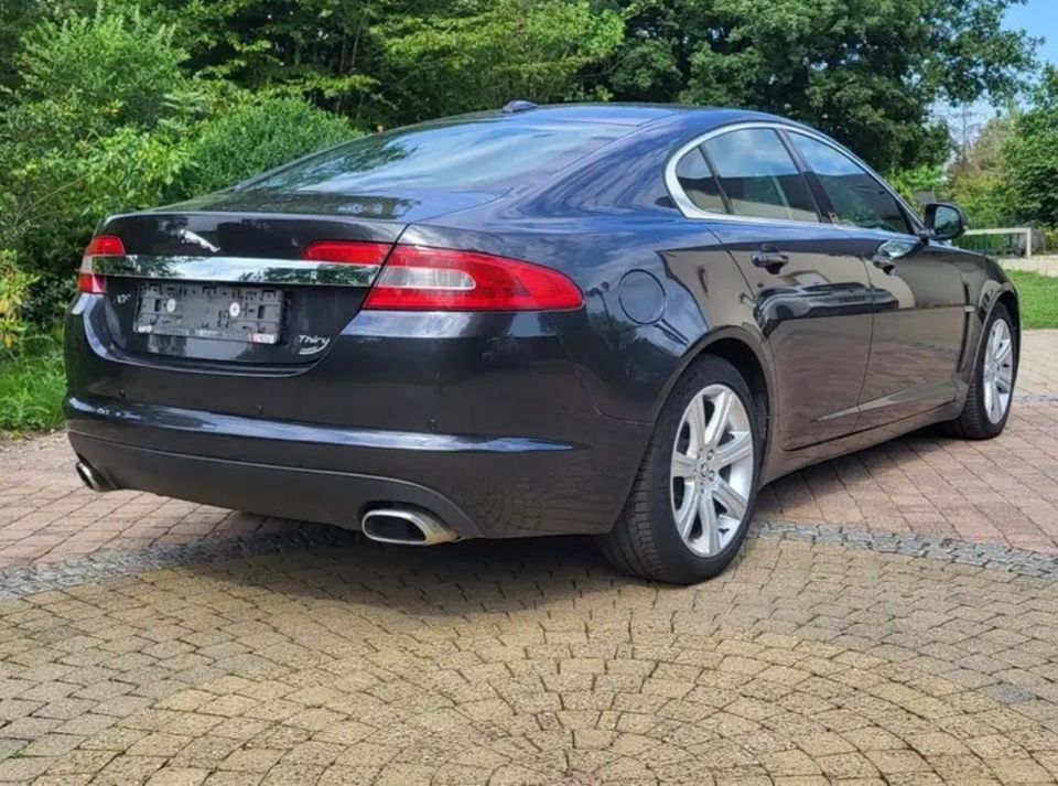 Jaguar XF 3.0 V6 Diesel in Trier