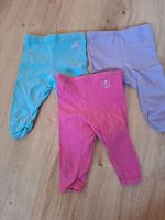 3x 3/4Hosen/Leggings von Tom Taylor, Größe 68 Schleswig-Holstein - Schashagen Vorschau