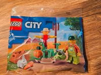 Lego City 30590 Bauernhofgarten mit Vogelscheuche Neu Nordrhein-Westfalen - Emsdetten Vorschau