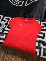 Puma T Shirt Hessen - Herborn Vorschau