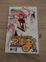 Manga Magister Negi Magi Band 36 Innenstadt - Köln Altstadt Vorschau