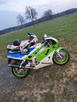 Kawasaki ZXR 400 Hessen - Staufenberg Vorschau