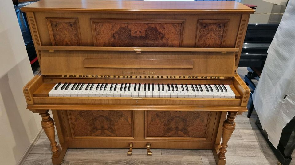 Steingraeber & Söhne Klavier/Piano, Modell 124/130, REDUZIERT in Altendorf