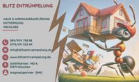 Blitz-Entrümpelung, Haushaltsauflösung München und Umgebung München - Sendling Vorschau