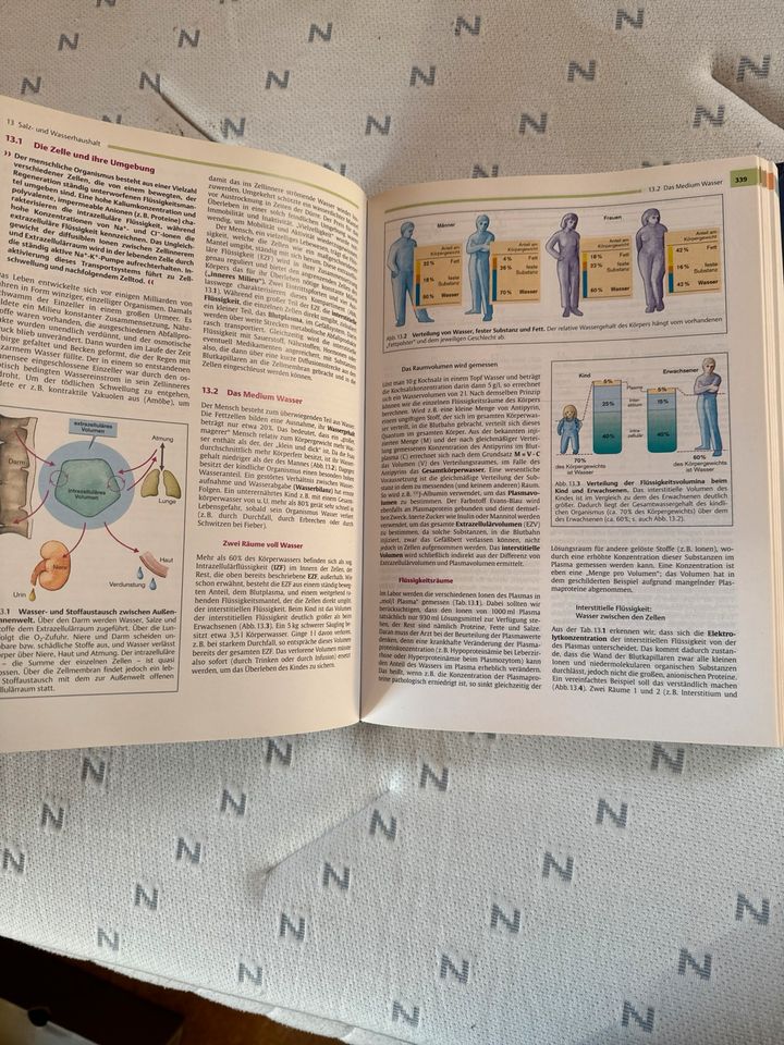 Physiology Thieme Lehrbuch in Freiburg im Breisgau