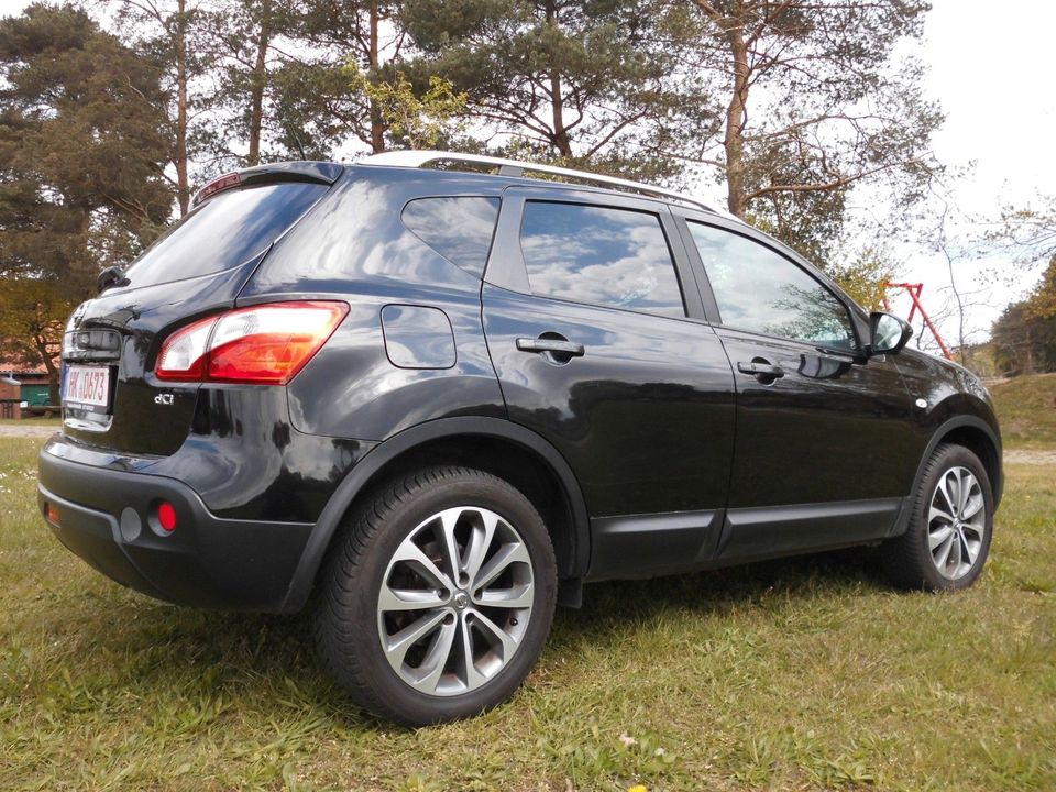 Nissan Qashqai Acenta 4X4 Leder Navi Panoramadach in Schneverdingen