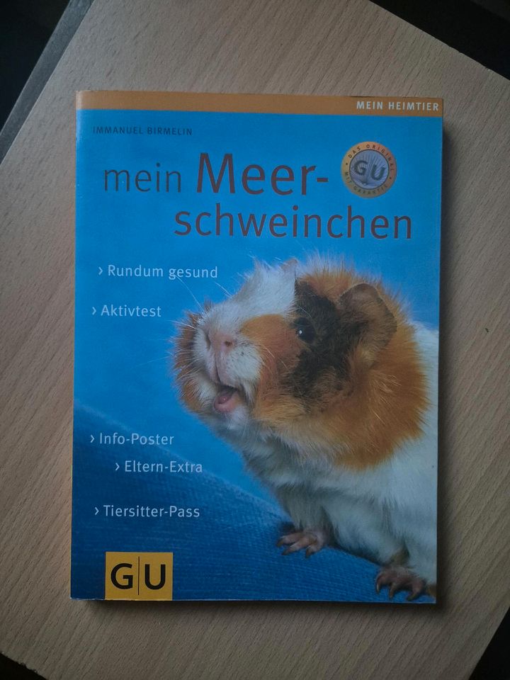 Meerschweinchen Buch in Ulm