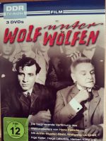 Hans Falladas Wolf unter Wölfen Schleswig-Holstein - Nortorf Vorschau