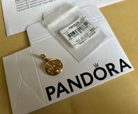 Pandora Link charm „Medallion die Elemente“ Hessen - Bad Homburg Vorschau