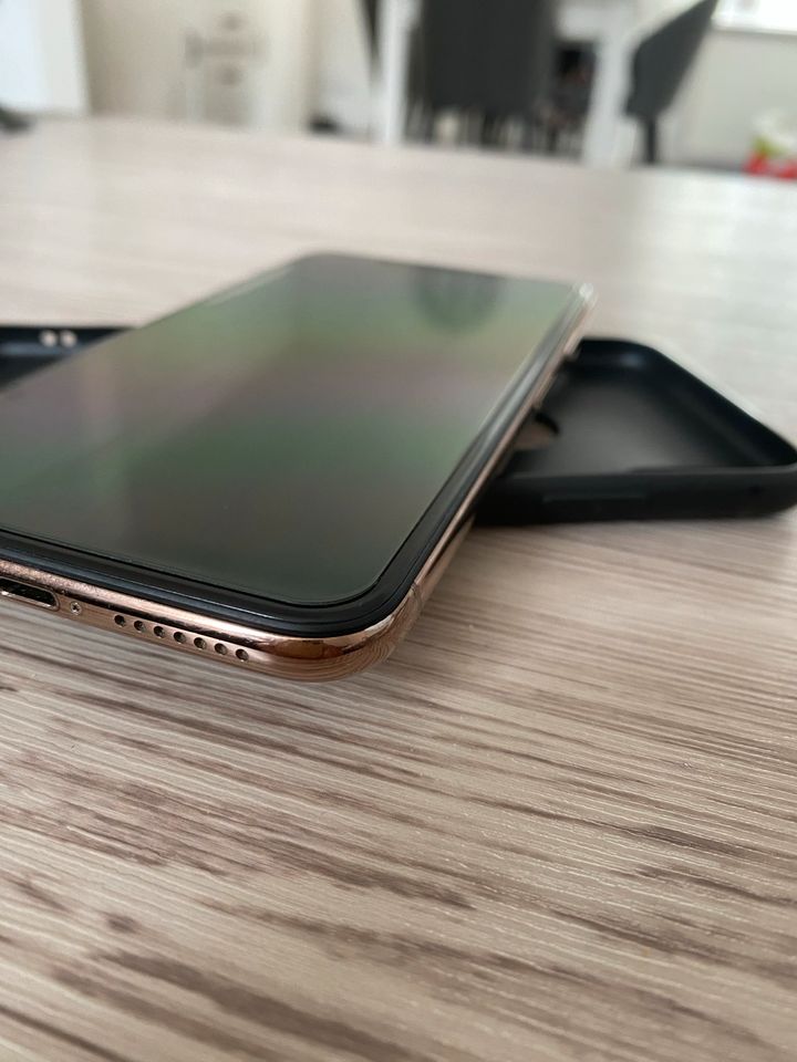 iPhone XS Max in Werdohl