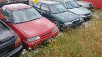 Rover 216 Gti Typ XW Thüringen - Bad Salzungen Vorschau