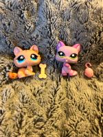 Littlest pet Shop Figuren #649 #1745 Baden-Württemberg - Waldshut-Tiengen Vorschau