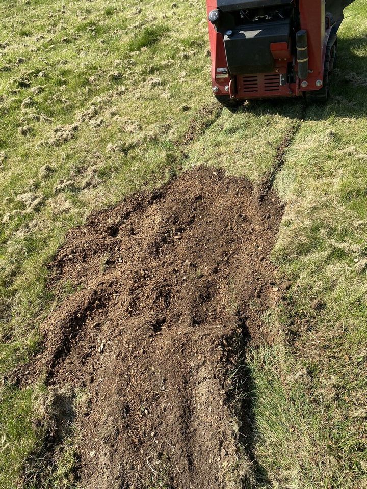 Baumfällung Baum fällen Pflasterarbeiten Wurzel entfernen in Osterode am Harz