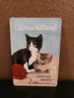 Blechschild Nostalgie Schild Katzen Cats Kitten Nordrhein-Westfalen - Spenge Vorschau