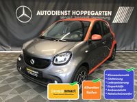 Smart smart forfour 52 kW prime Einparkhilfe Sitzheiz. Brandenburg - Hoppegarten Vorschau