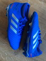 Adidas, Predator, Fußballschuhe, Größe 37,5 Schleswig-Holstein - Norderstedt Vorschau