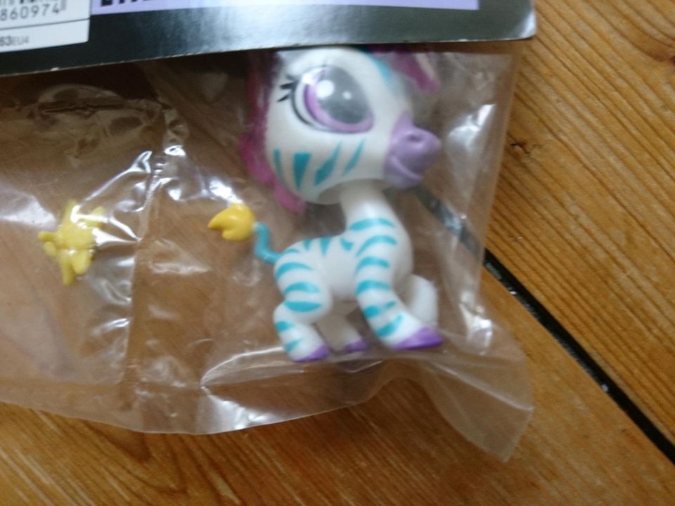 Littlest Petshop B1763 Originalverpackt in Ronnenberg