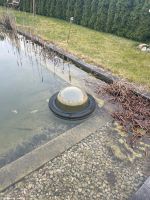 Velda Floating Fish Dome L Niedersachsen - Seevetal Vorschau