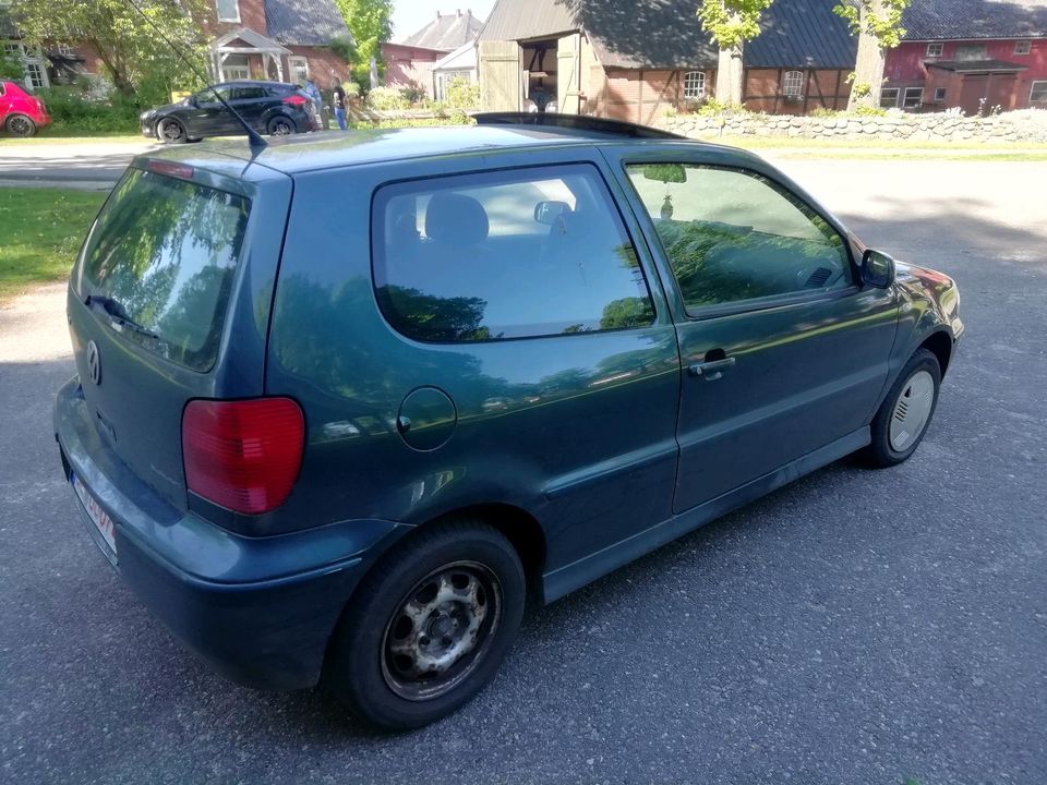 VW Polo 6N 1.0/ Schiebedach / mit TÜV in Leezen