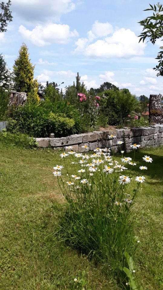 * Ferienwohnung im Grünen * - Nähe Jandelsbrunn, Bayerischer Wald in Jandelsbrunn