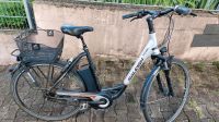 Raleight e-bike 28" Rahmenhöhe 55cm Baden-Württemberg - Freiburg im Breisgau Vorschau