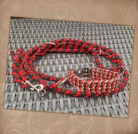 Paracord-Halsband-Leine Set HU 20.5cm Schleswig-Holstein - Wittenborn Vorschau