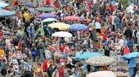 Flohmarktartikel / Bücher / Deko / Kleidung gesucht! Bayern - Veitsbronn Vorschau