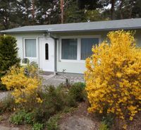 Bungalow 21 im Ostseebad Zinnowitz Mecklenburg-Vorpommern - Zinnowitz Vorschau