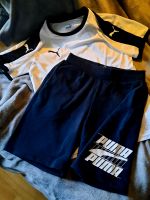 PUMA Set*Neu Brandenburg - Senftenberg Vorschau