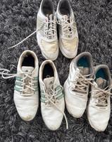 Golf Schuhe 44 2/3 Adidas Footjoy Golfschuhe Sachsen - Radebeul Vorschau