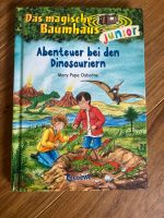Das magische Baumhaus Junior Abenteuer bei den Dinosauriern Niedersachsen - Osnabrück Vorschau