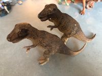 Schleich Tyrannosaurus Rex Dinos Dinosaurier Nordrhein-Westfalen - Schleiden Vorschau