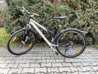 Fahrrad Damen Baden-Württemberg - Dunningen Vorschau