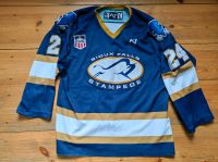 Gameworn Eishockey Trikot USA NHL Hockey Mitte - Wedding Vorschau