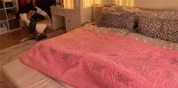 Bett mit Matratze Niedersachsen - Zetel Vorschau