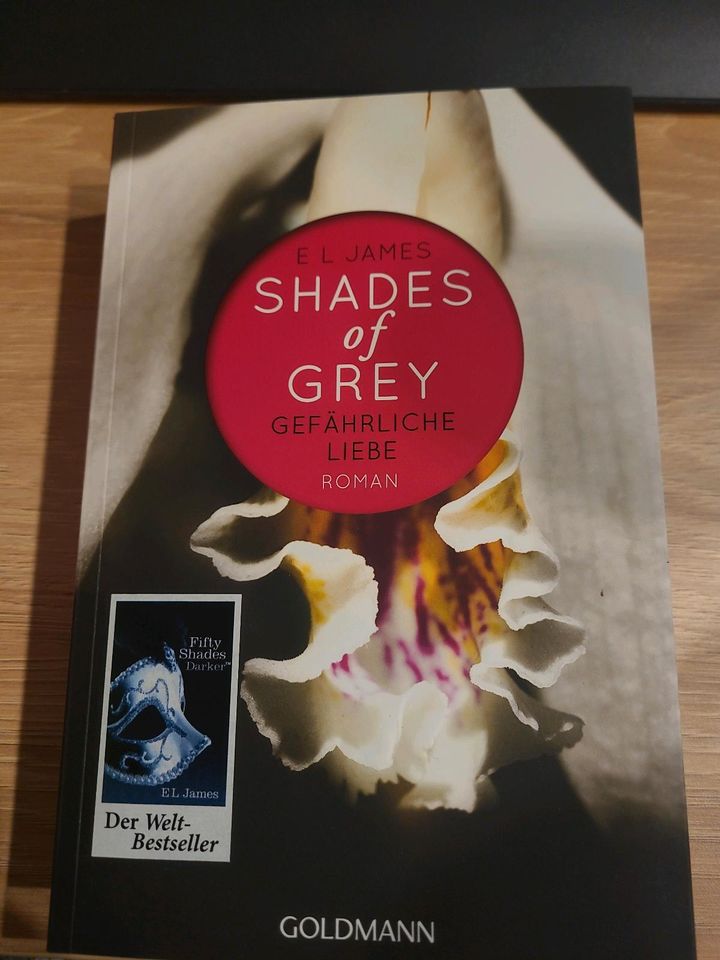 Buch Shades of Grey Gefährliche Liebe in Villmar