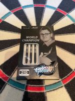 One80 Beau Greaves Black 21g Steeldarts, Dart, Dartpfeile Nürnberg (Mittelfr) - Südstadt Vorschau