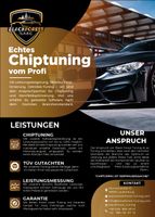 Chiptuning, Softwareoptimierung Baden-Württemberg - Laufenburg (Baden) Vorschau