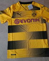 Trikot BVB Borussia Dortmund Größe S NEU Leipzig - Möckern Vorschau