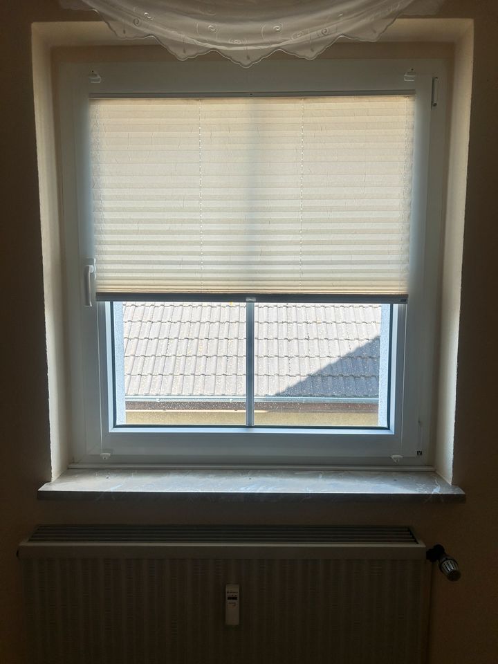 Plissee von Luxaflex 3x Fenster 1x Türe weiß/creme in Kerpen