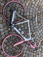 Cervelo RS Centoanni Giro d’Italia Sammlerrad RH 58 NEU Bayern - Küps Vorschau