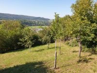 Zwei Gartengrundstücke Baden-Württemberg - Mühlacker Vorschau