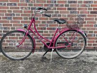 Hollandrad 28“ pink Buleva Lux Niedersachsen - Delmenhorst Vorschau