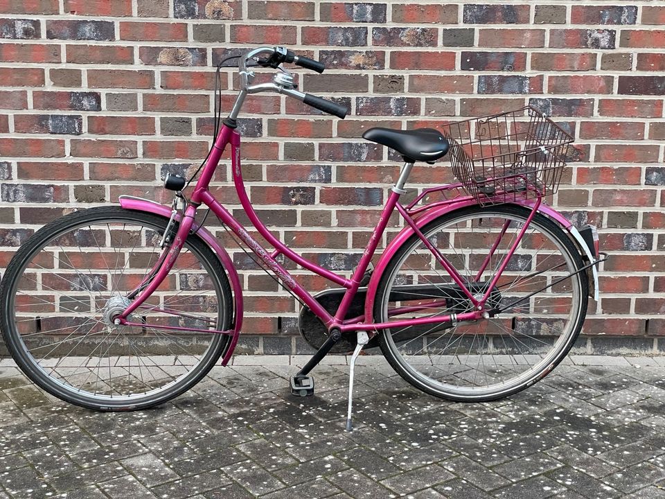 Hollandrad 28“ pink Buleva Lux in Delmenhorst