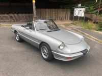 Alfa Romeo Spider 115 Bayern - Erlenbach am Main  Vorschau