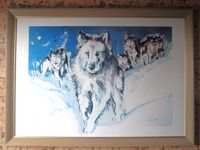 Großes Bild mit Schlittenhunden im Schnee 110 x 80 cm Niedersachsen - Braunschweig Vorschau