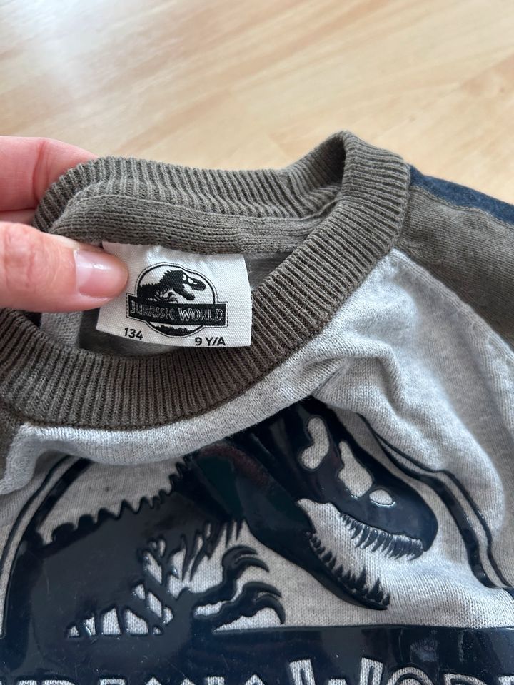 Pullover „Jurassic World“ in Zeuthen