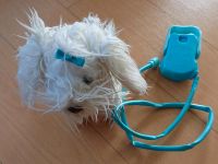 Fluffy go walkies Hund bellt und geht an der Leine Bayern - Üchtelhausen Vorschau