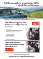 PKW Rädereinlagerung inkl. Wechsel Leipzig - Miltitz Vorschau