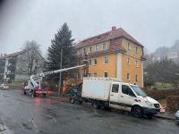 Baumfällung Baumdienst Baumschnitt Fällung Baum fällen abtragen Sachsen - Freital Vorschau